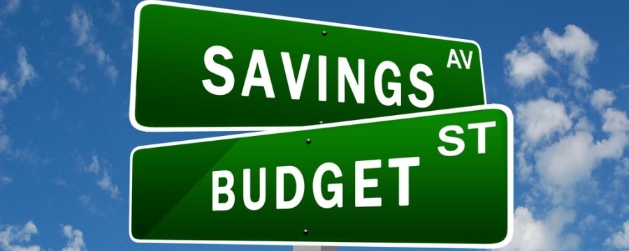 Savings Budget for buying a 10 Year Terms Policy