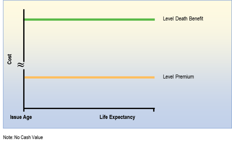 term-100-life-insurance-graph