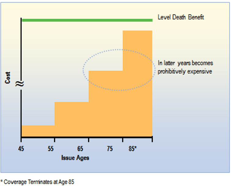 term-life-insurance-graph-2